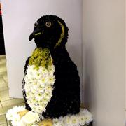 penguin