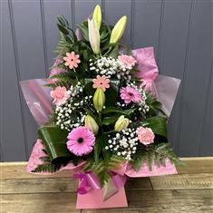 Pink Daisy